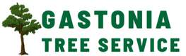 Logo for Gastonia Tree Service in green font offering tree removal, pruning and tree doctor services. 