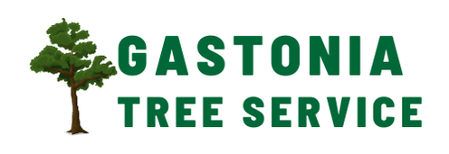 PictureLogo for Gastonia Tree Service in green font offering tree removal, pruning and tree doctor services. 