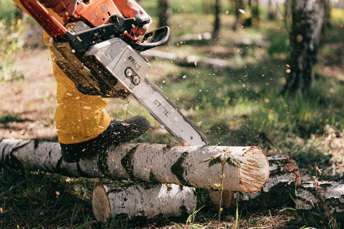 A man cutting a tree branch with a chainsaw in Gastonia, NC.